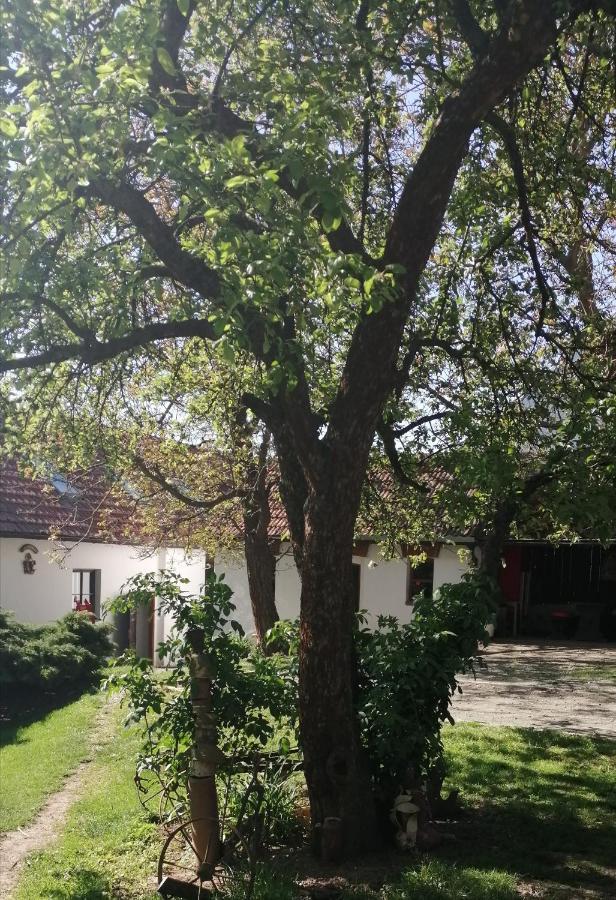 Keramický a výtvarný ateliér Konešín Exterior foto